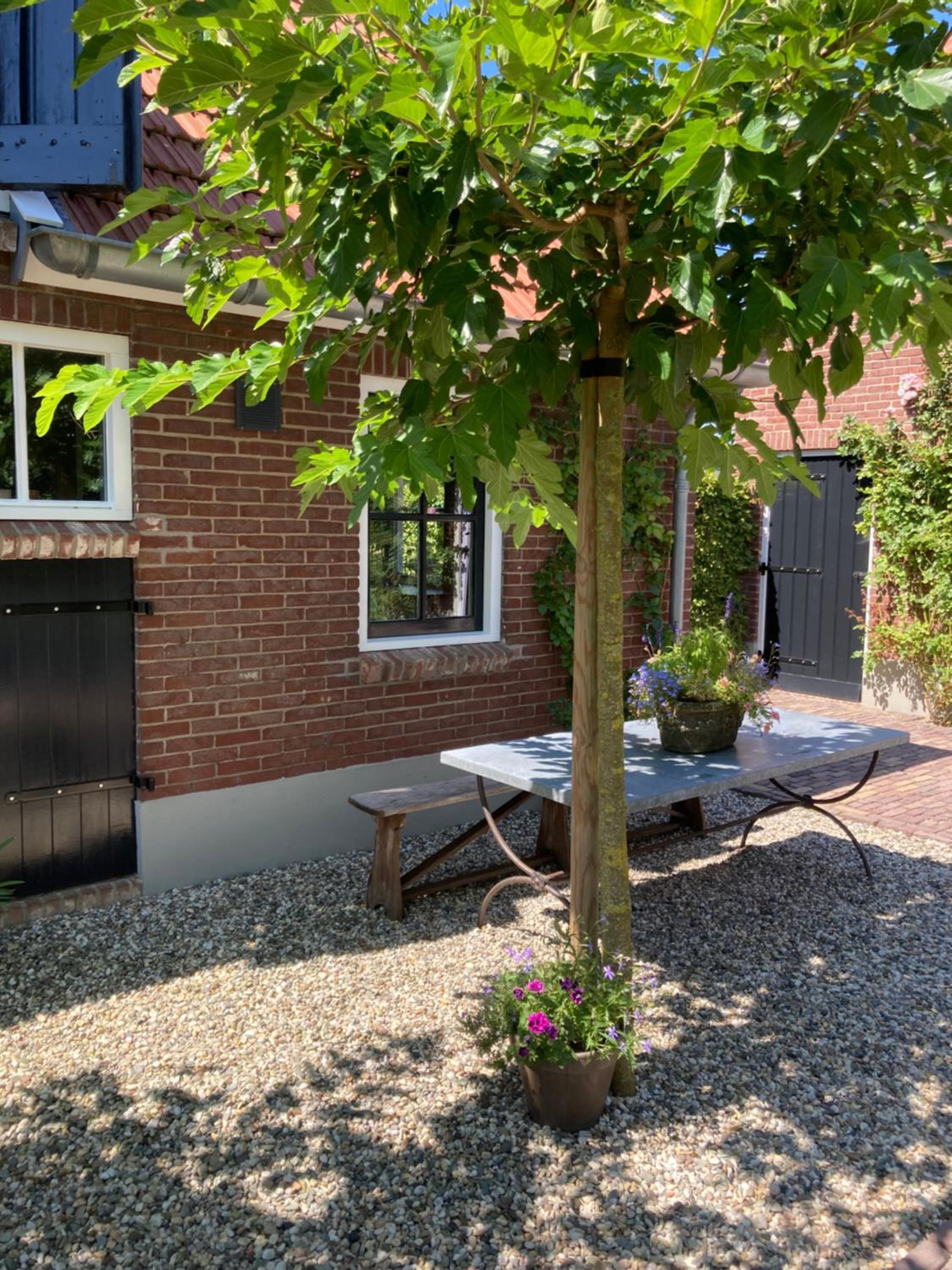 House of Flowers, Gendringen, Achterhoek, Gelderland