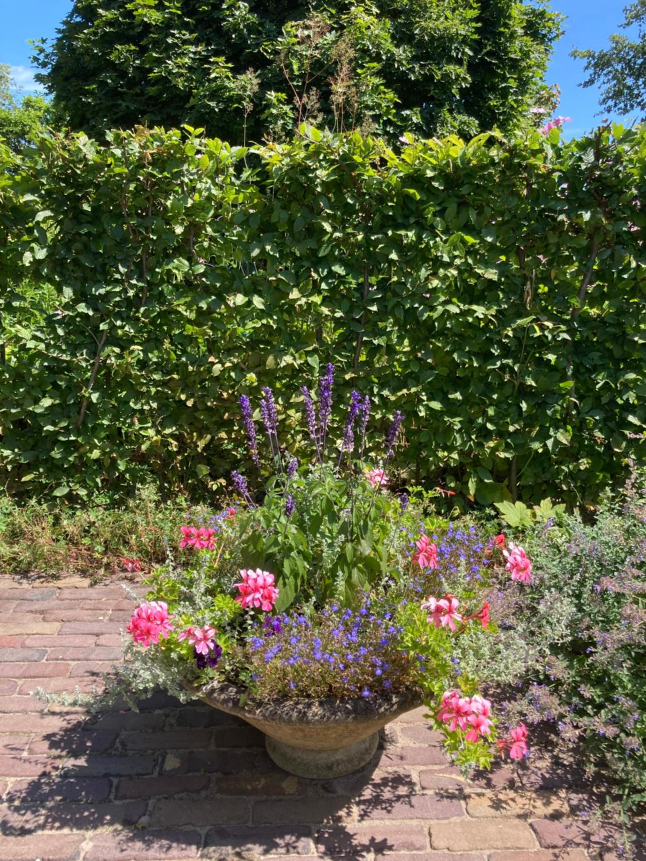 House of Flowers, Gendringen, Achterhoek, Gelderland