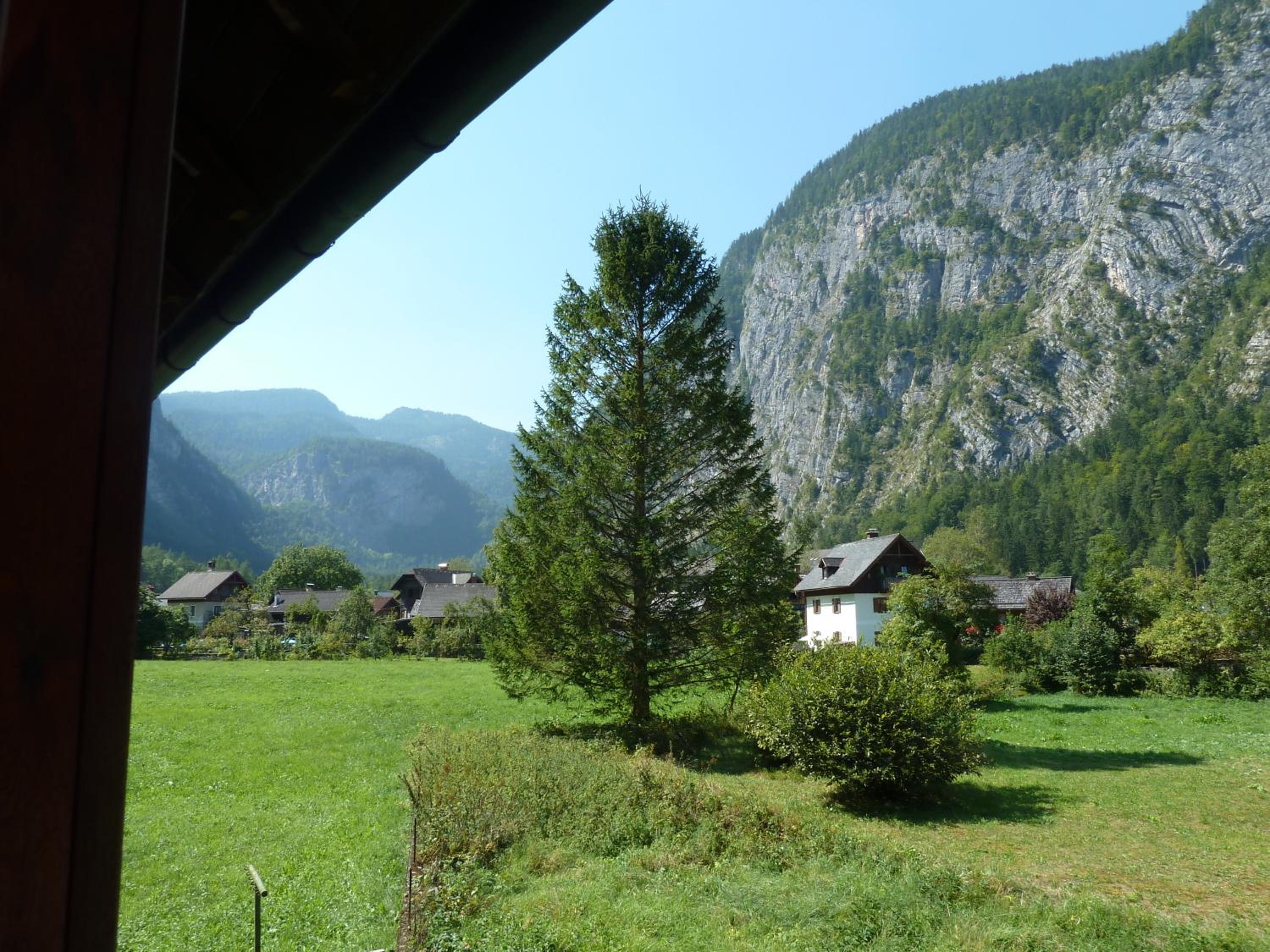 Photo 42