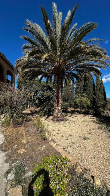 Chalet Con Piscina Privada