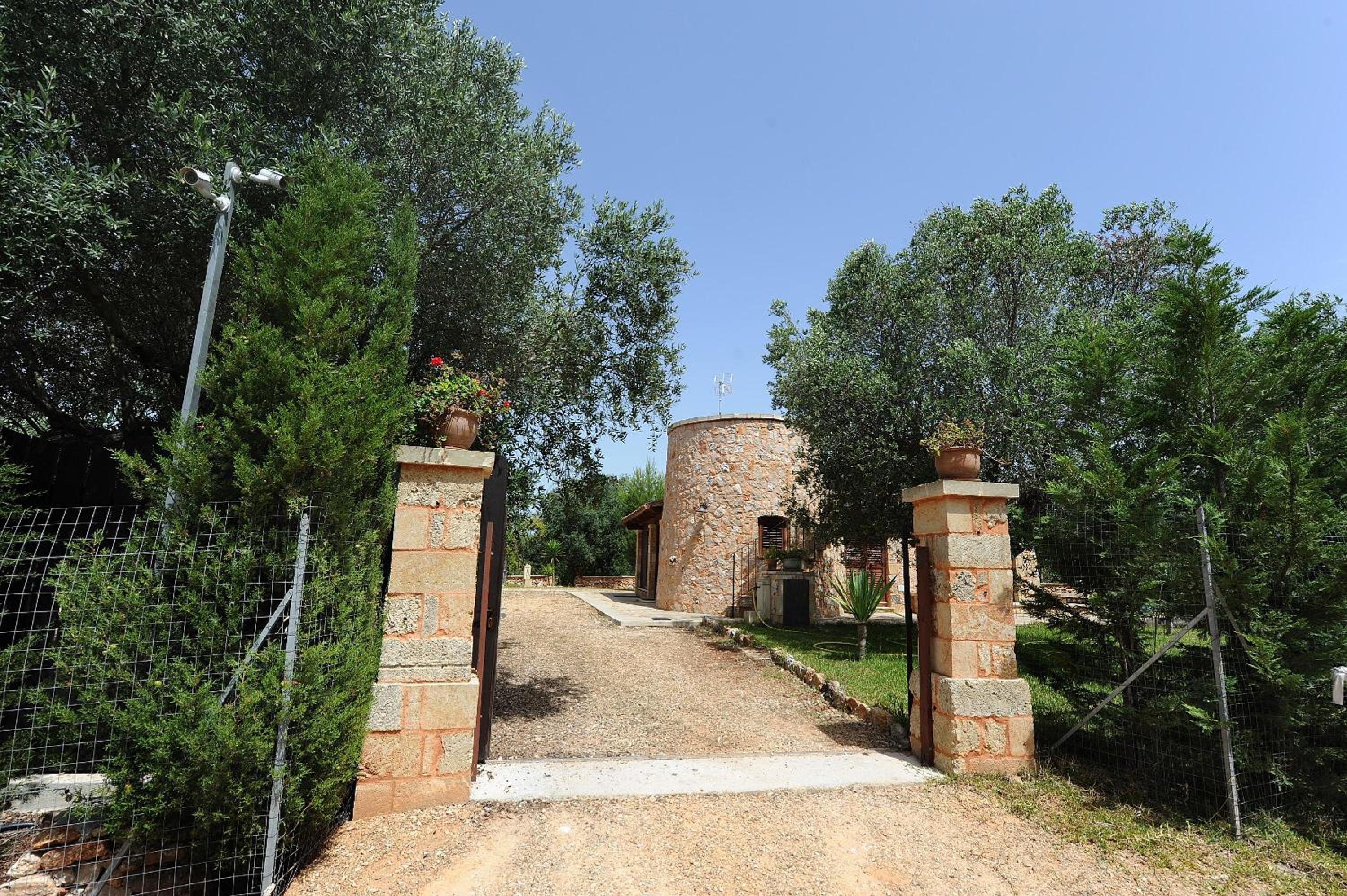 Photo 15