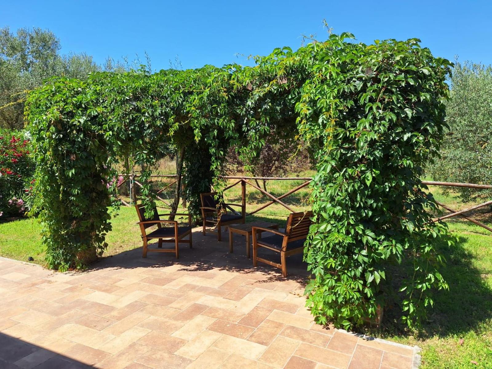 Terre di Cornossa view 3