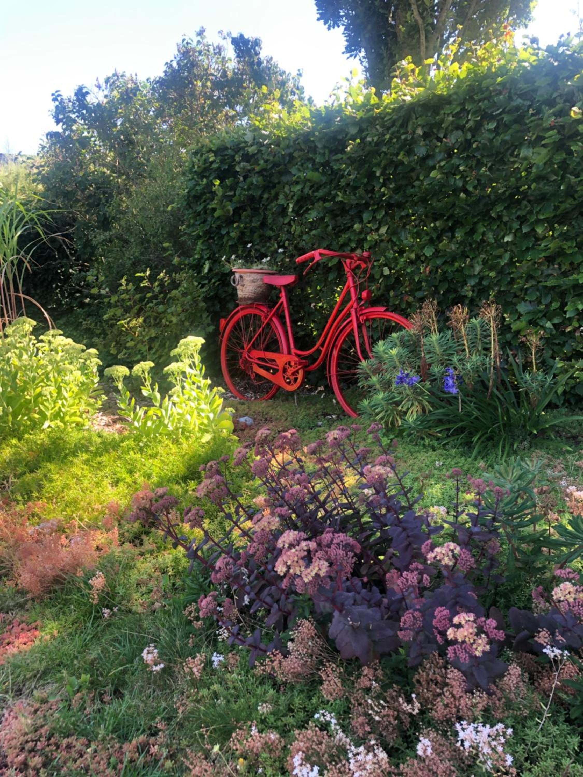 Fleur de Ciel, photo 28