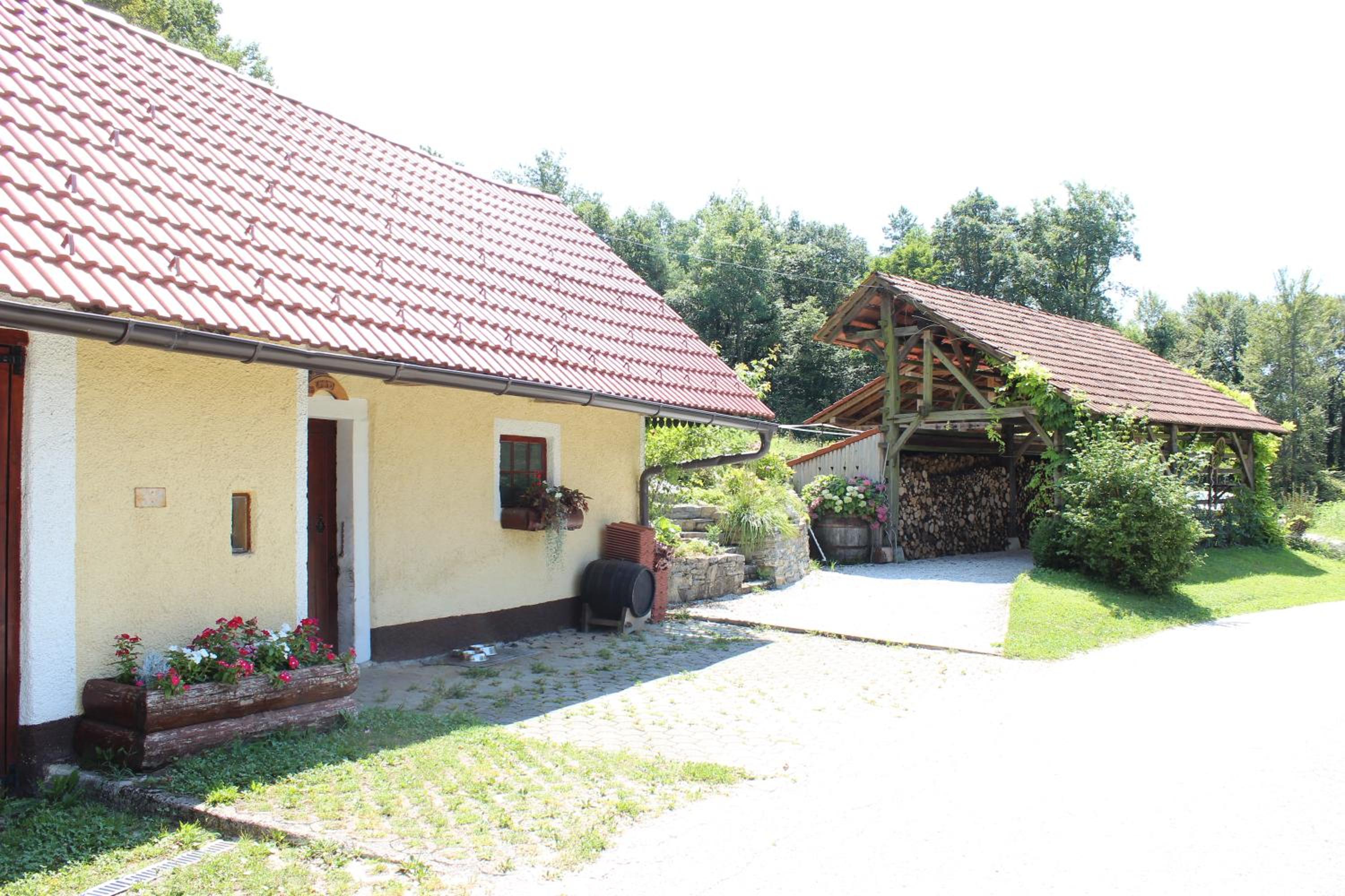 Photo 20