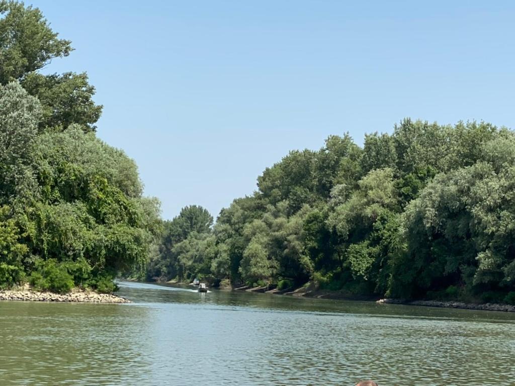 Jókai 10 Vendégház Présház Csongrád view 3