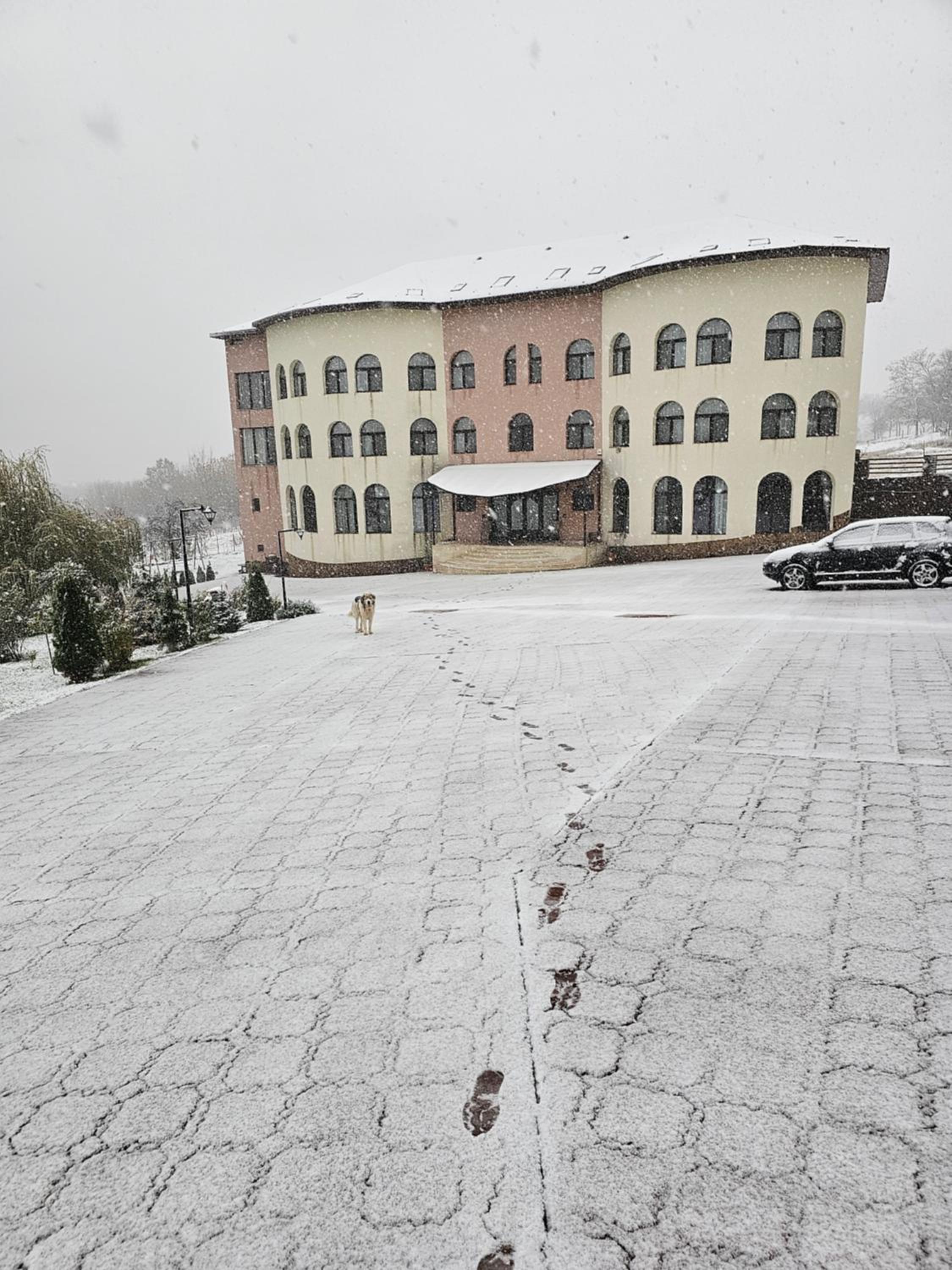 Crasmontana Konak