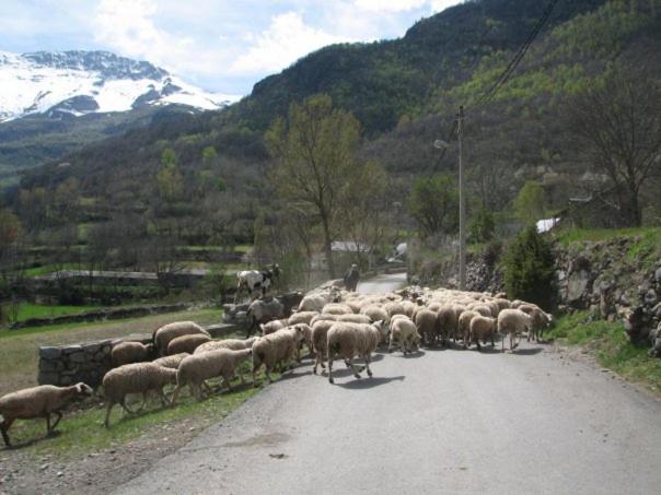 Apartamento en Villanova, Valle de Benasque