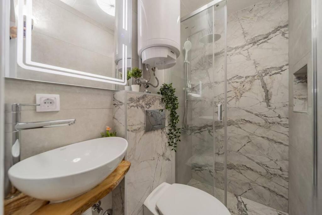 Lisa Zemun Spa Apartment view 4