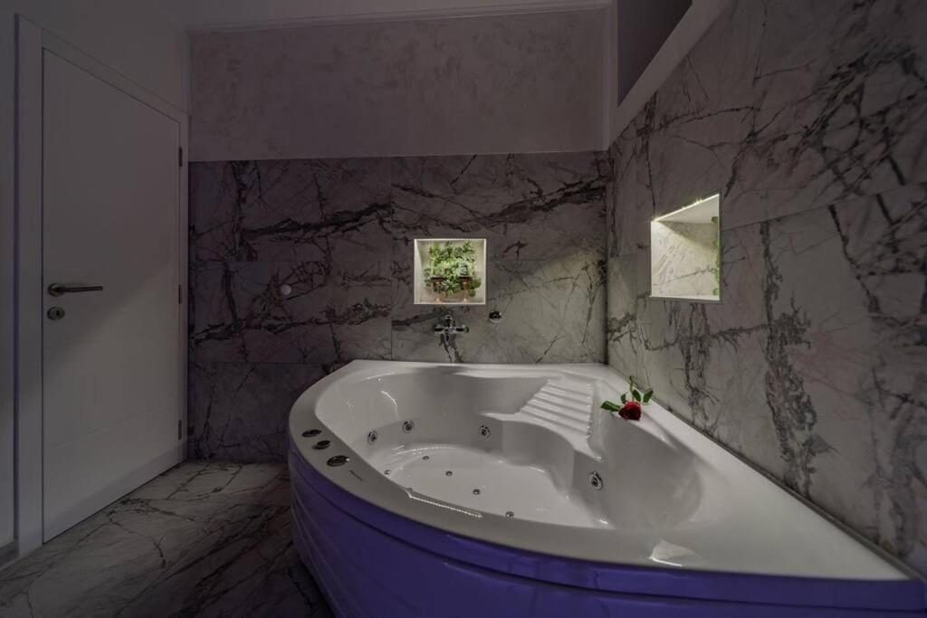 Lisa Zemun Spa Apartment view 5