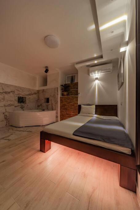 Lisa Zemun Spa Apartment view 2