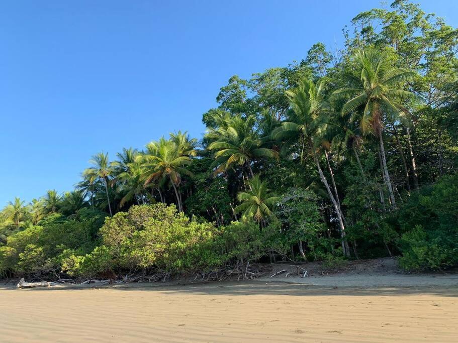 Cute studio-apartment near the beach