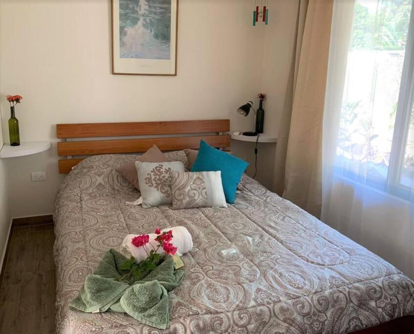 Cute studio-apartment near the beach