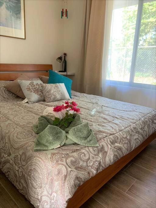 Cute studio-apartment near the beach
