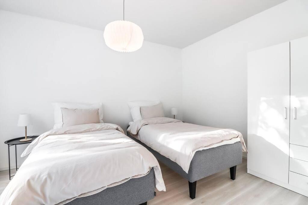 Cosy flat with good transport connections and Free parking