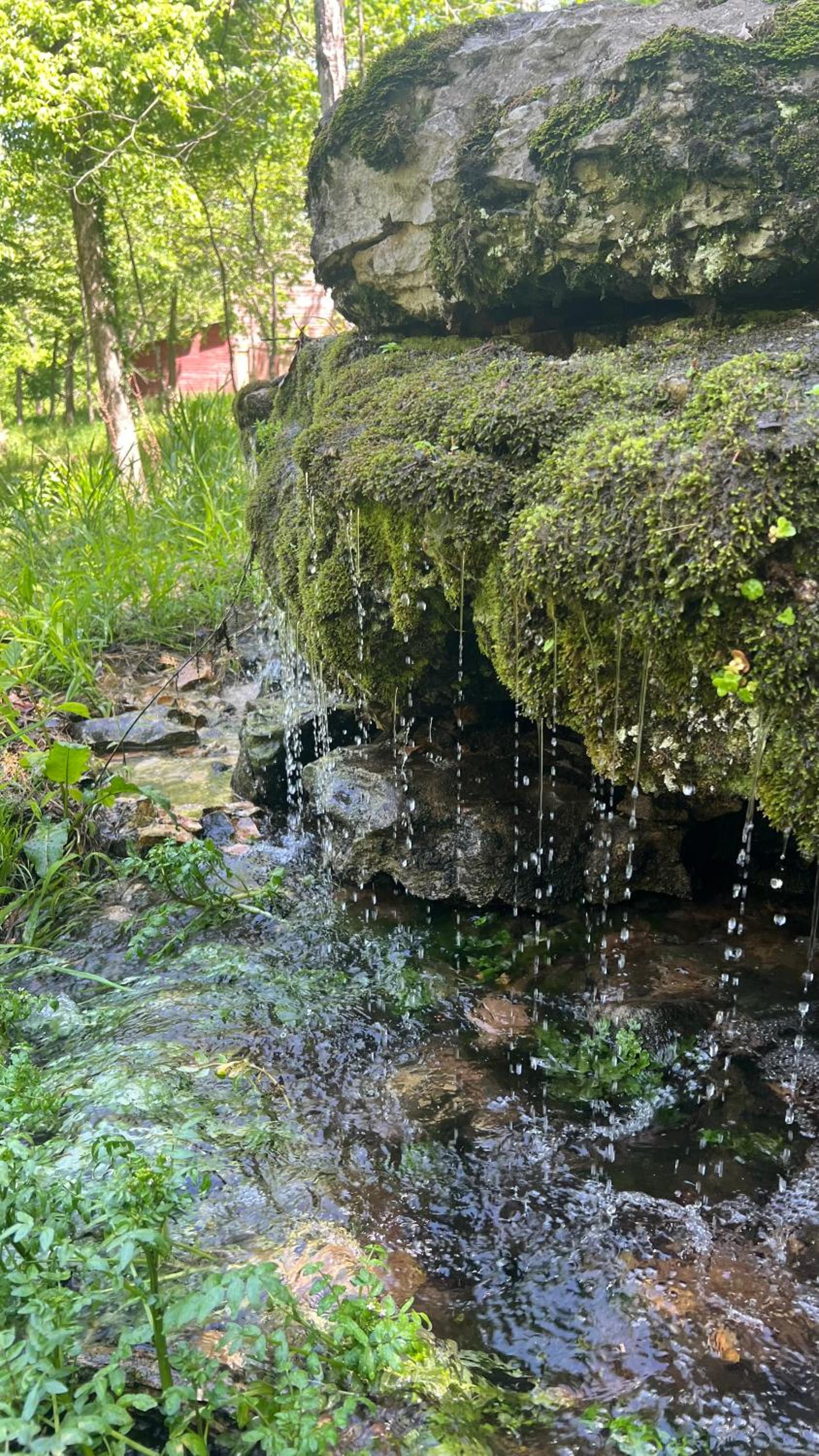 Photo 22