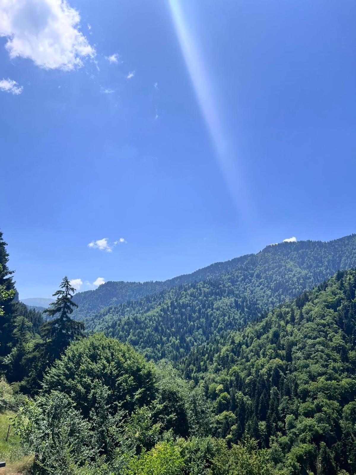 1Hillstory borjomi tba view 5