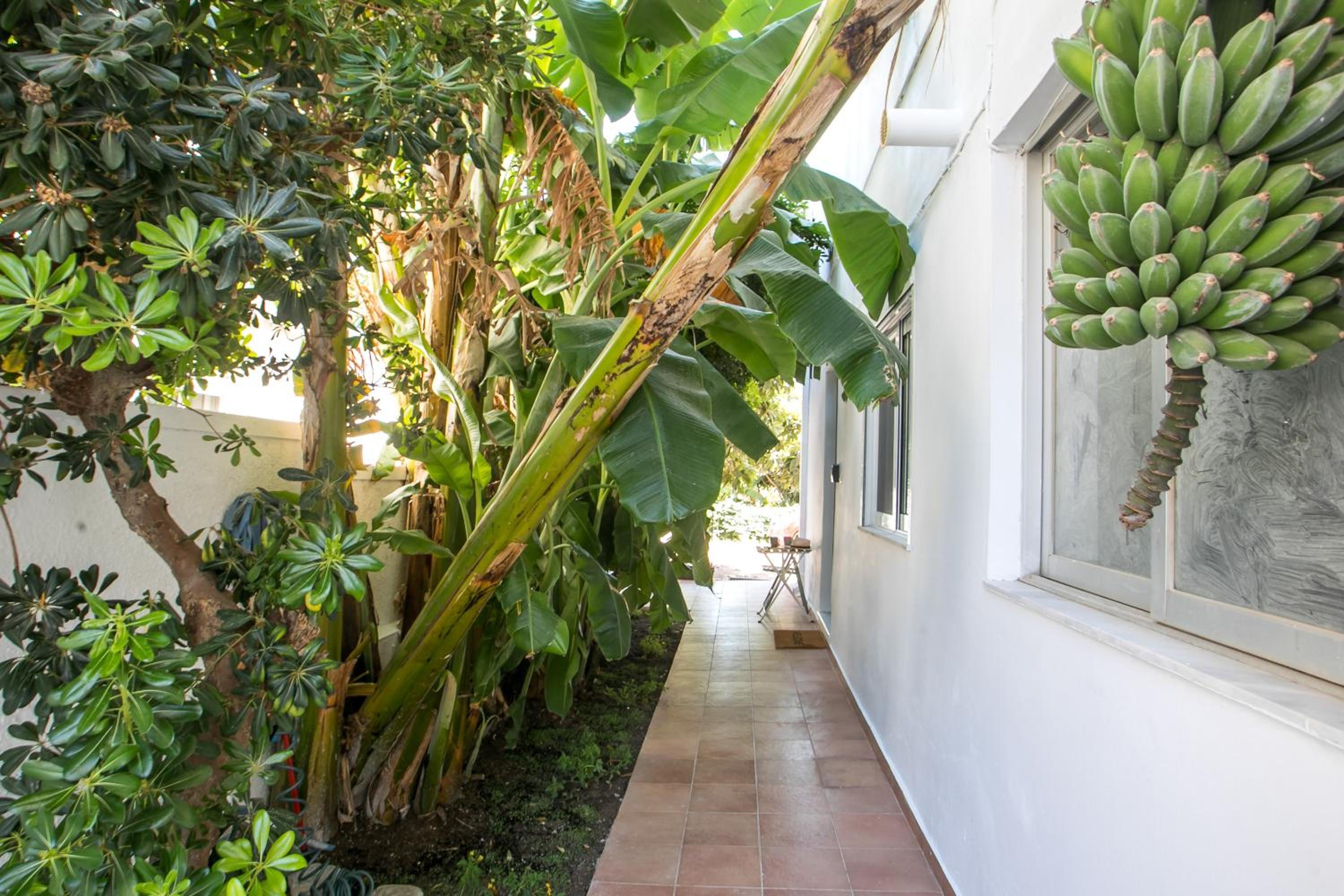 CasaVerde Central Apartment
