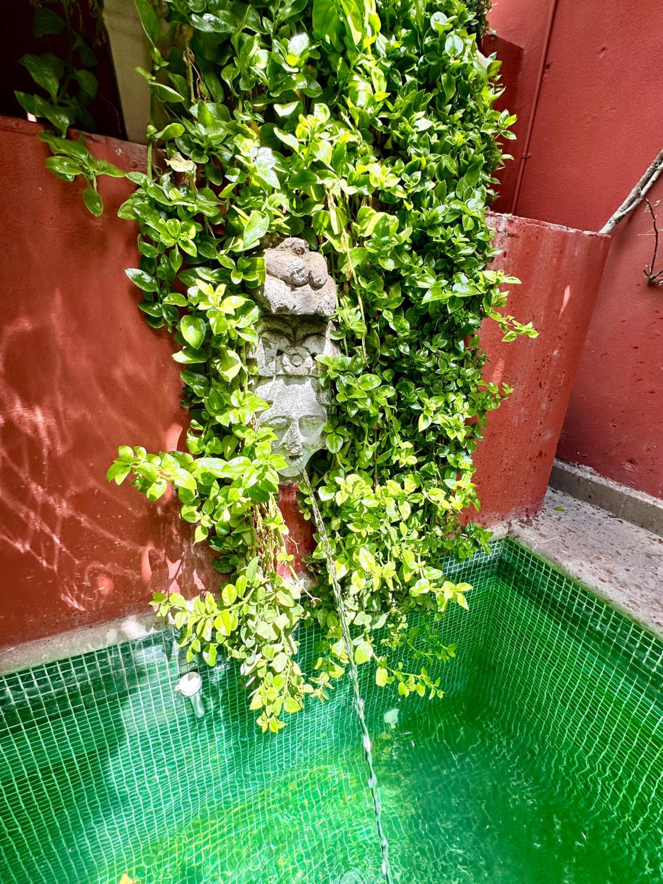 Photo 18