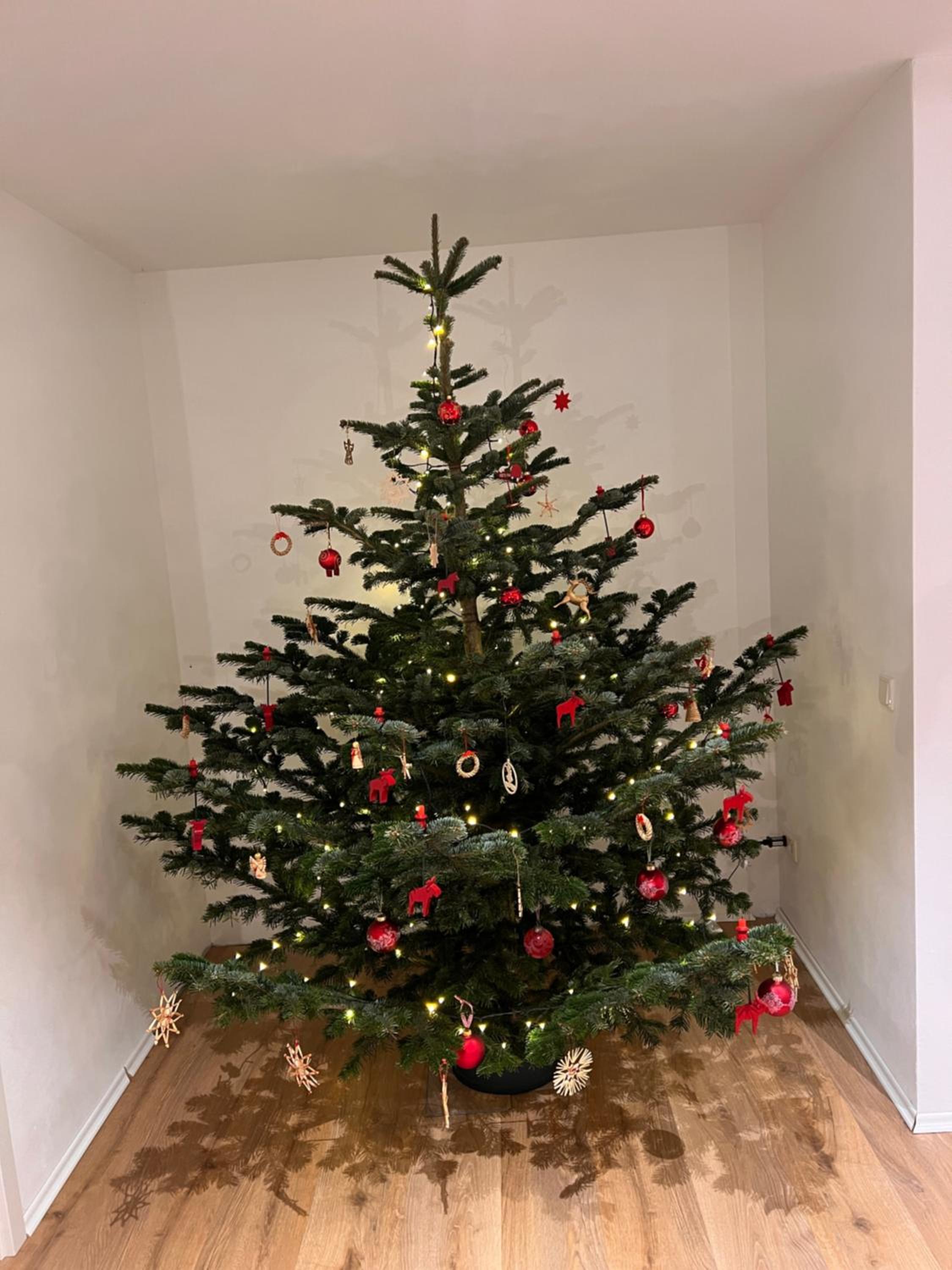 Ferienwohnung mit Garten in Meyenburg - KEINE MONTEURE