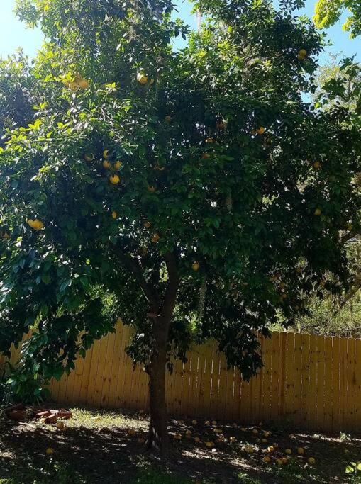 other