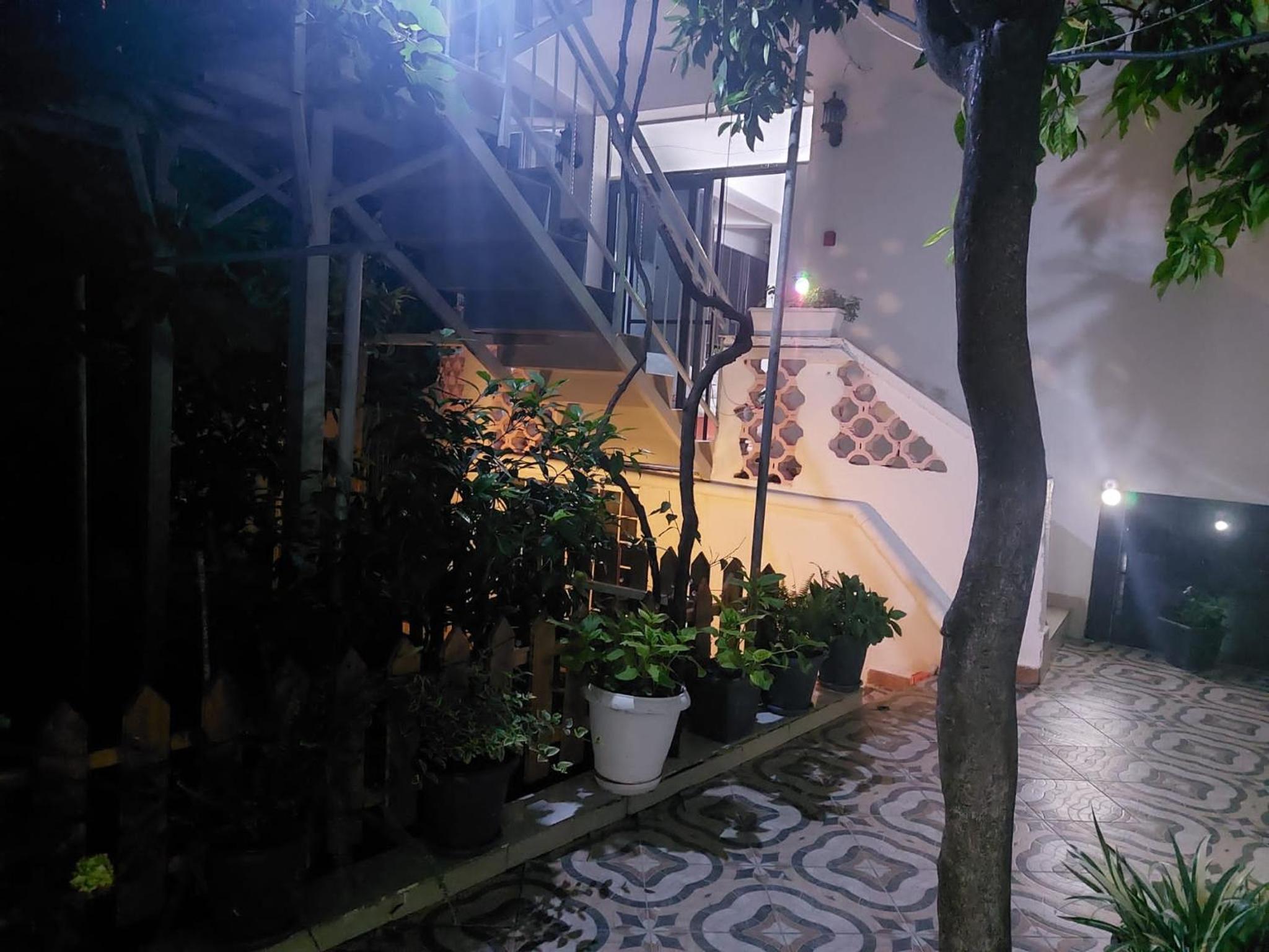 Guest House Flowers