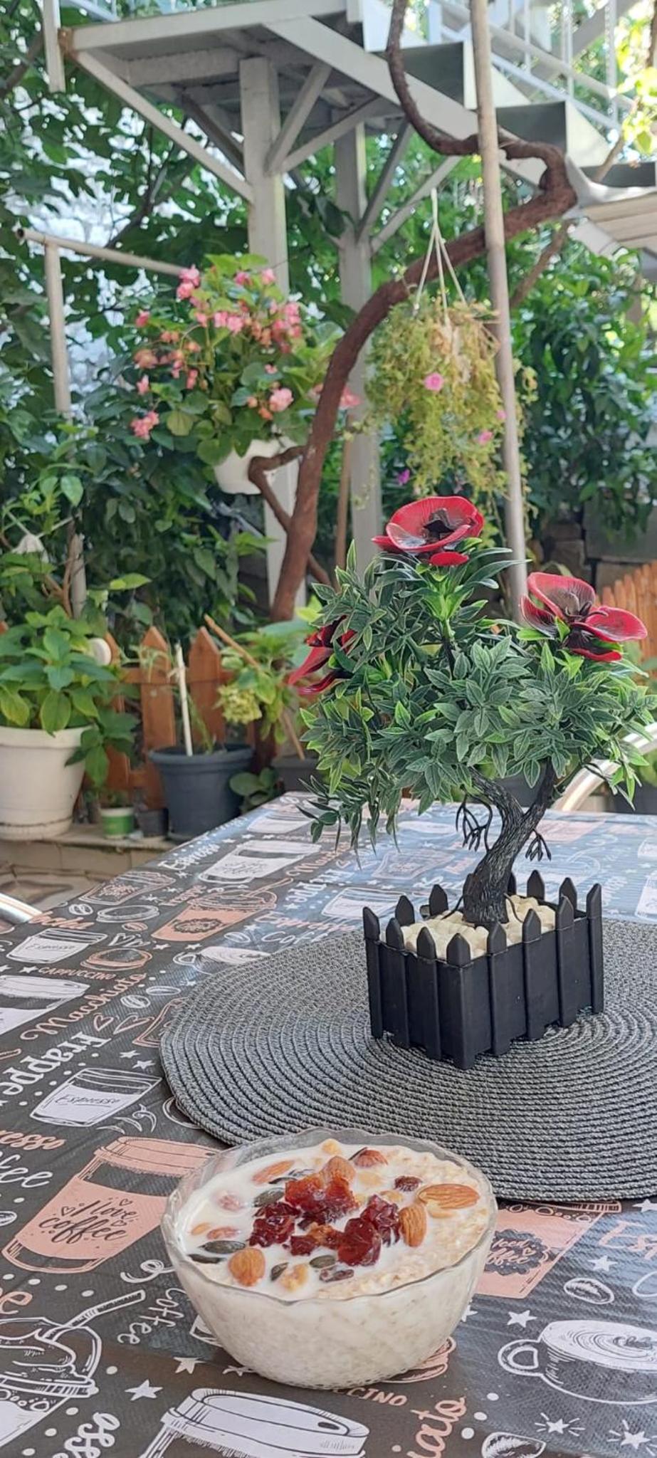 Guest House Flowers