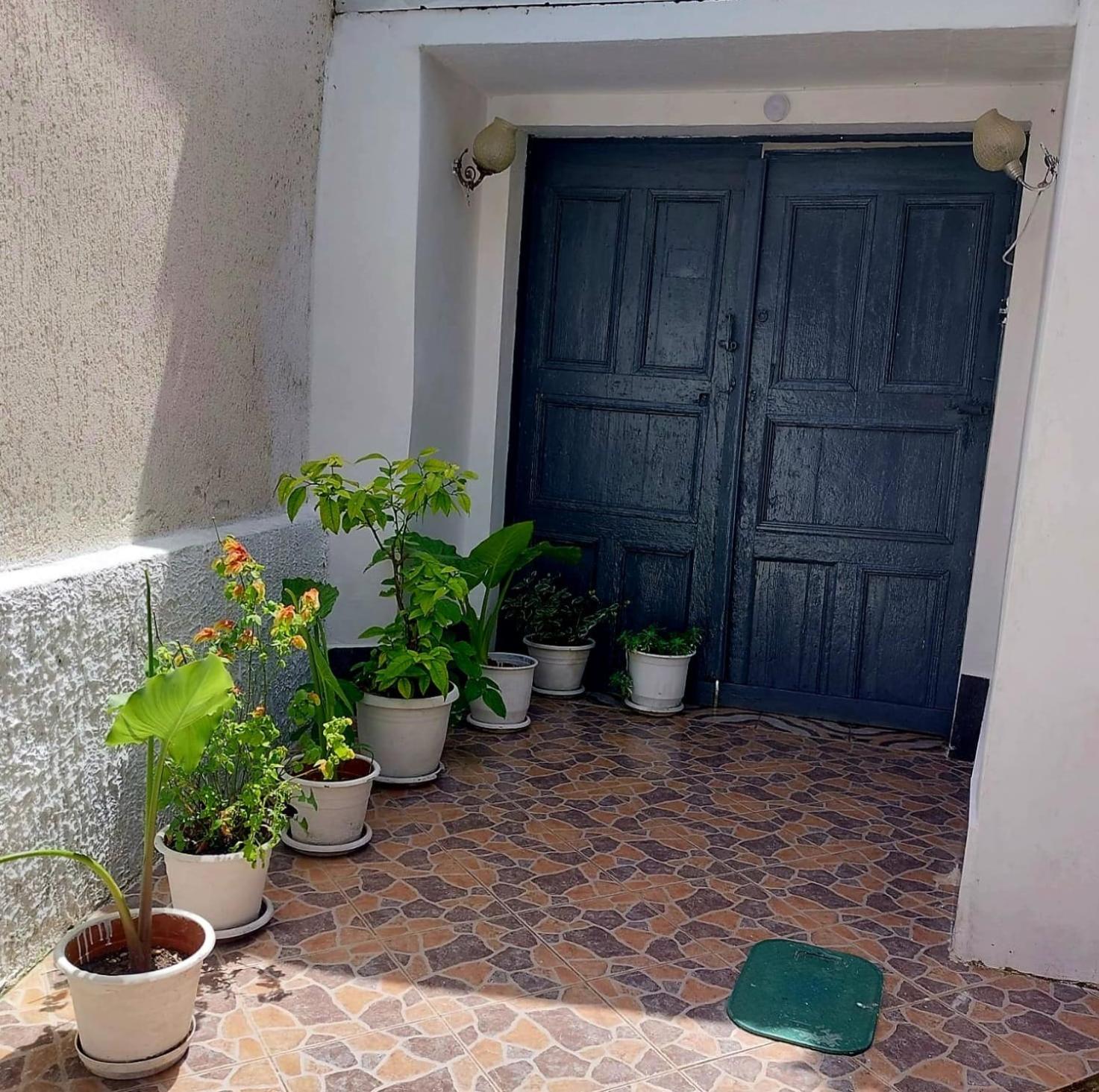 Guest House Flowers