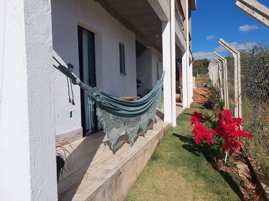 Águia Serra do cipó-Fiote