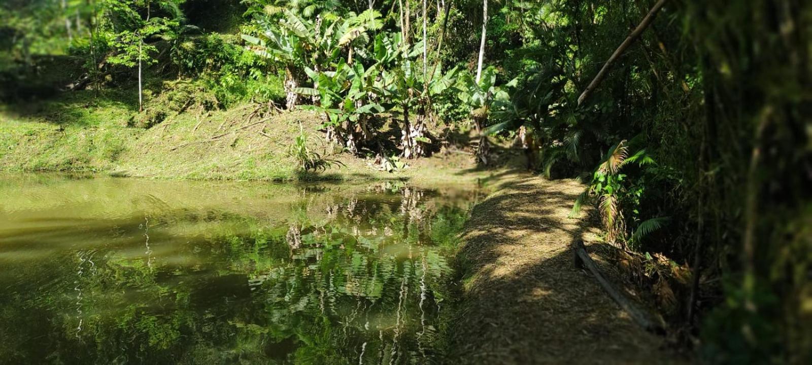 Chalé Sítio Do Voinho