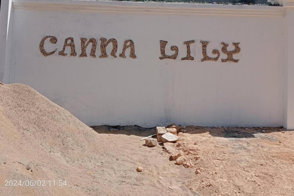 Canna Lily 5 min walk from bofa road, baobab resort