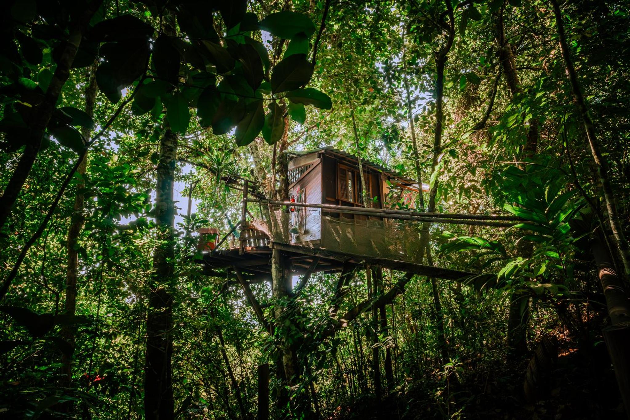 Paraty Paradiso