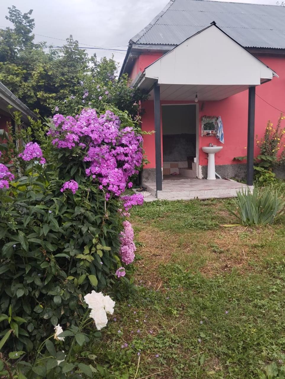 Topchu Guest House-Topçu Qonaq Evi