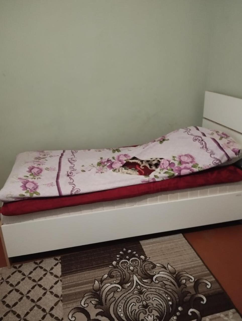 Topchu Guest House-Topçu Qonaq Evi