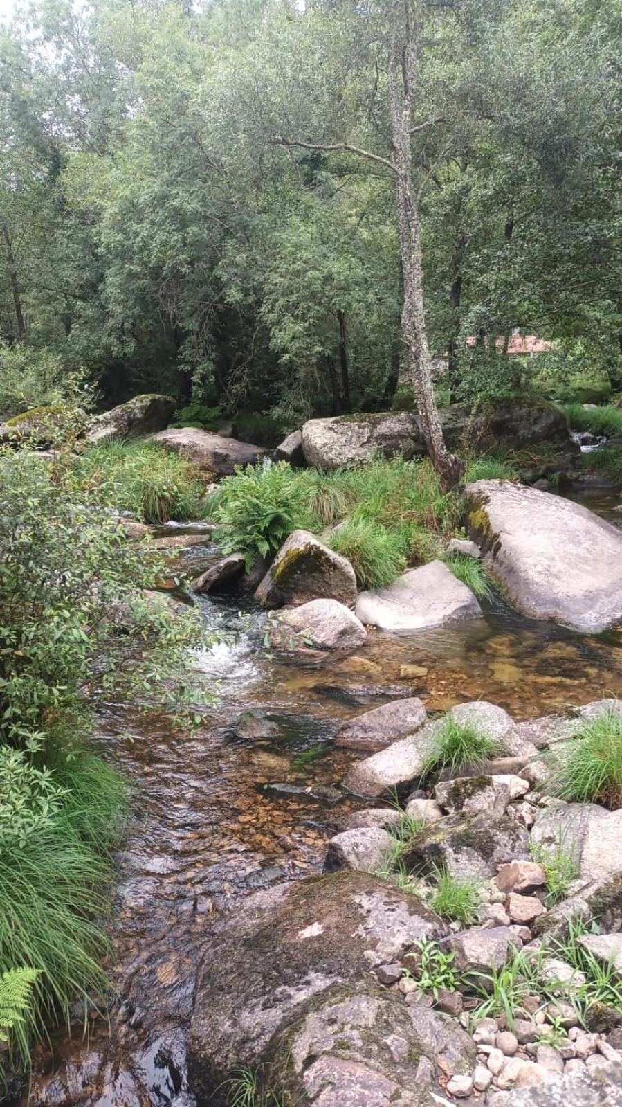 Photo 39