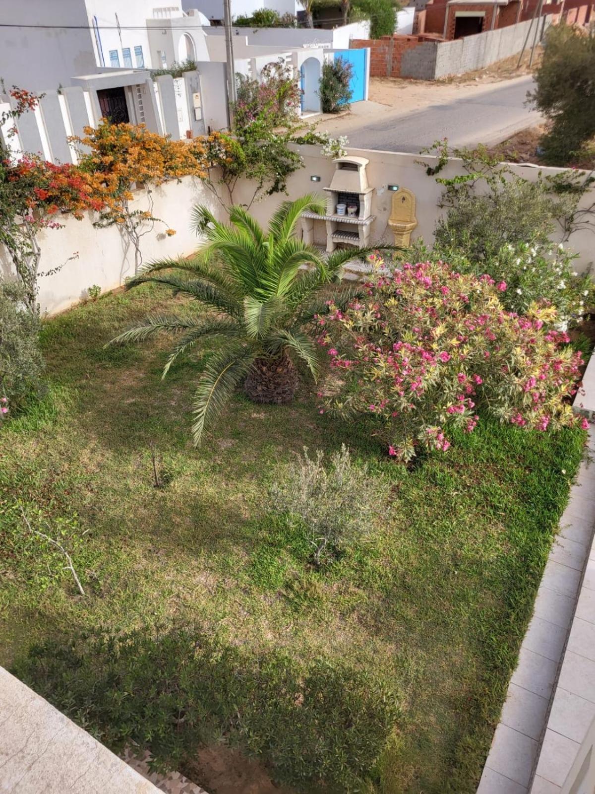 Photo 12