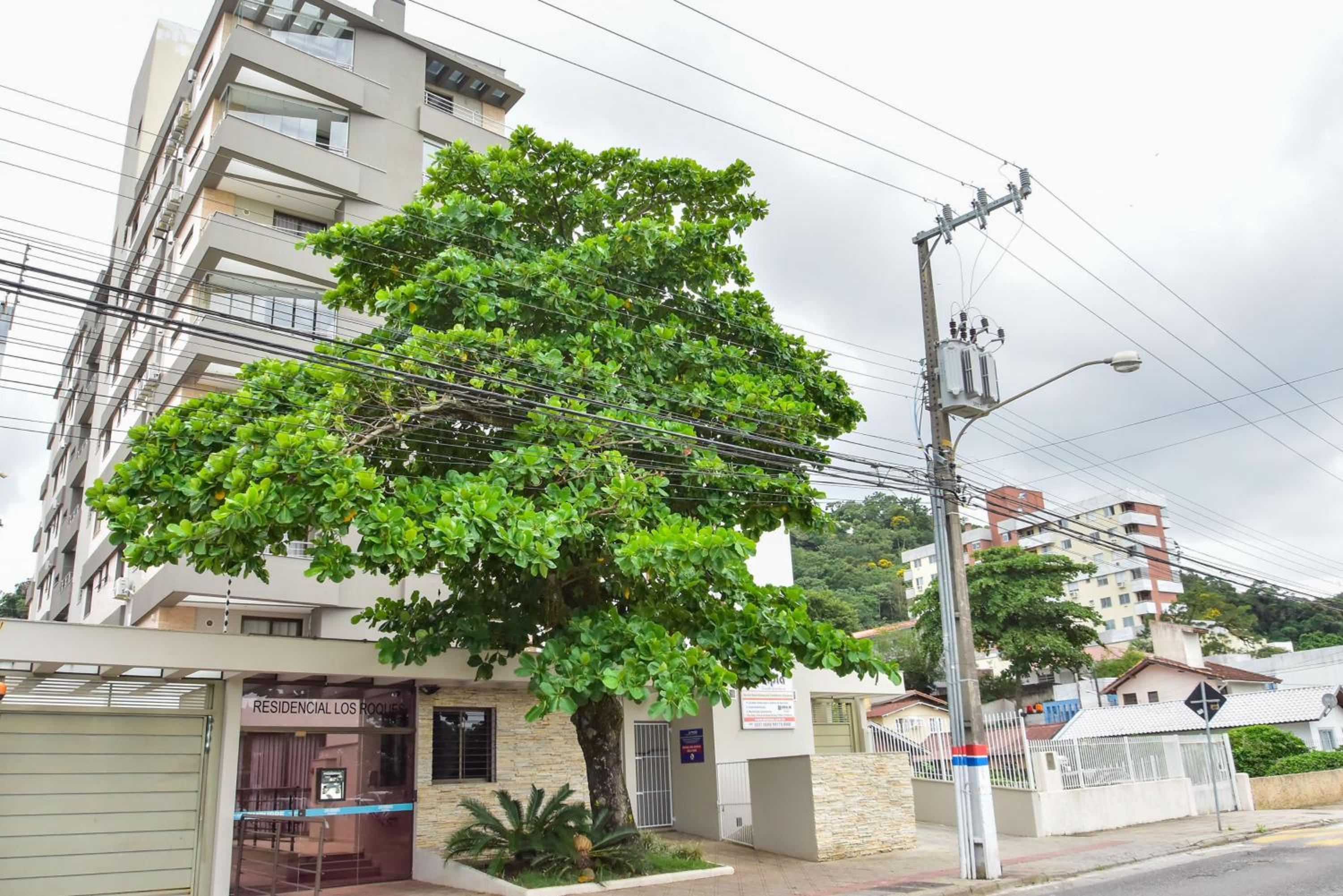 Beiramar Sul: Apto em Localização Estratégica P330