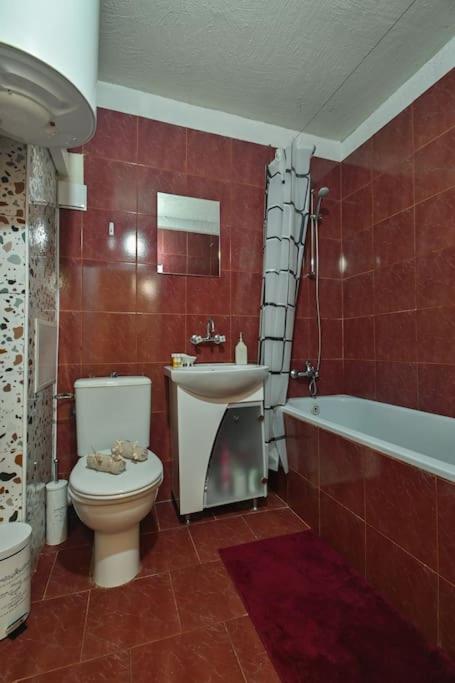 Antim 1 Apartment
