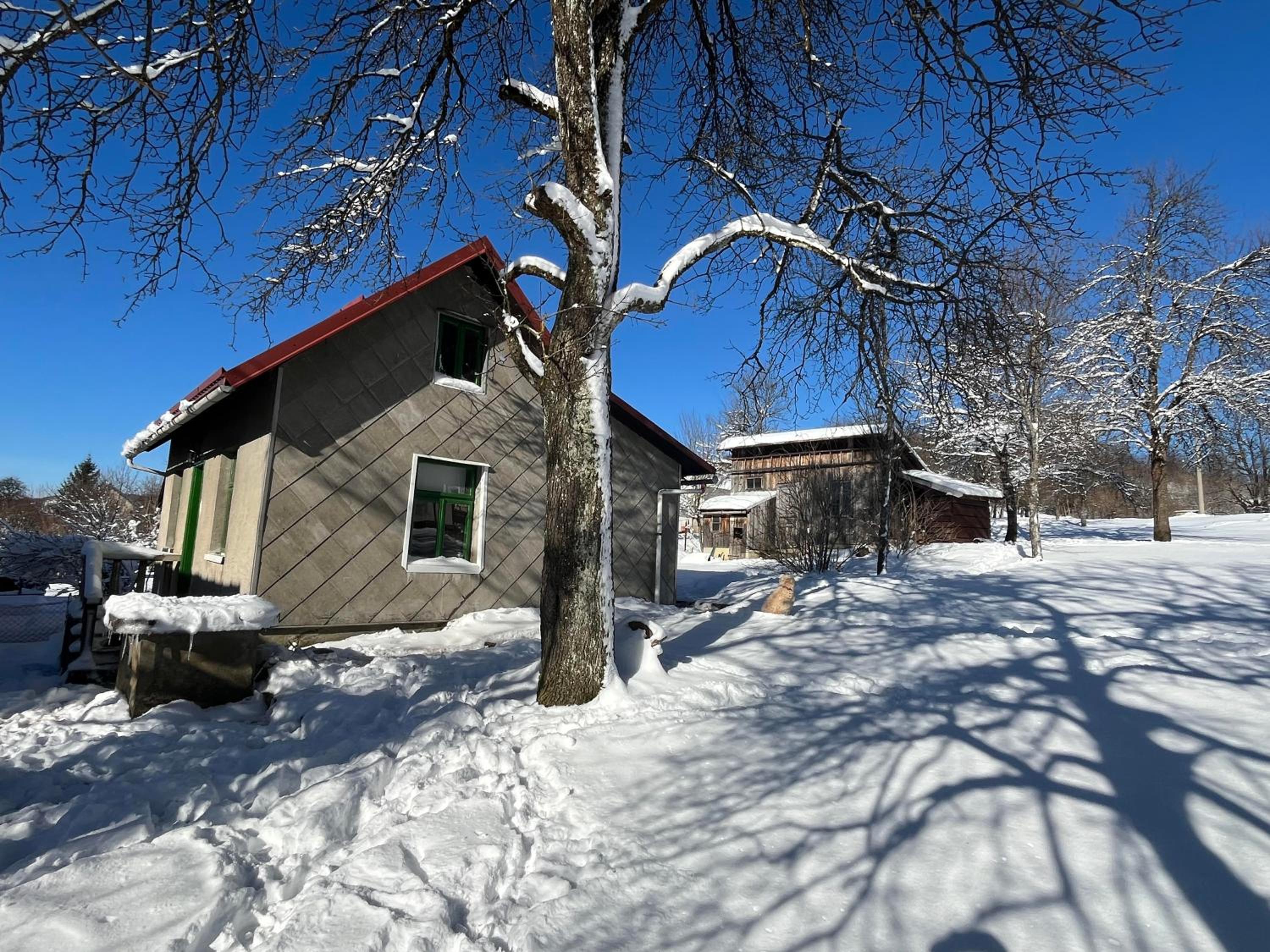 Photo 23