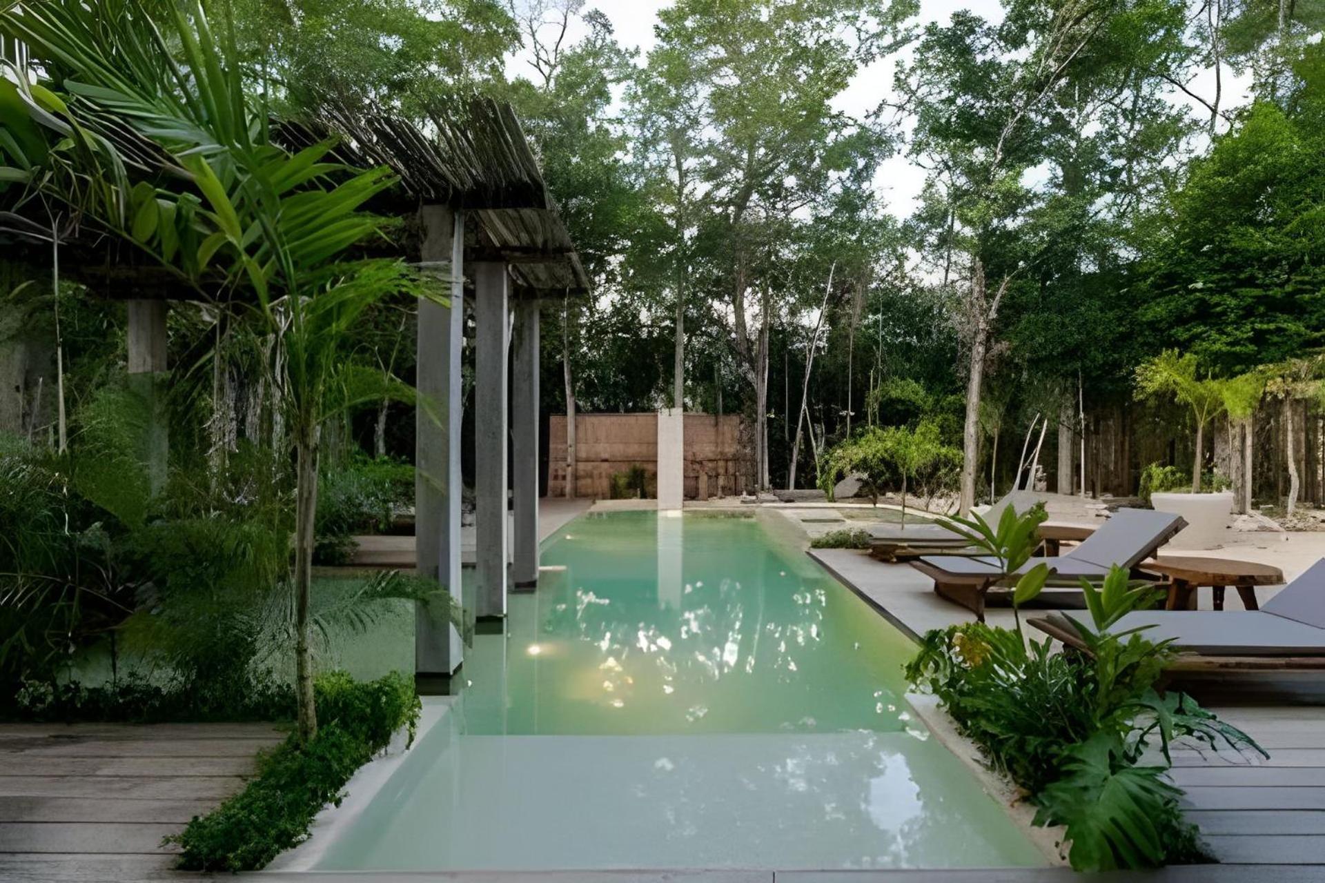 Casa En la Selva Nueva Relajante de Ensueño view 3