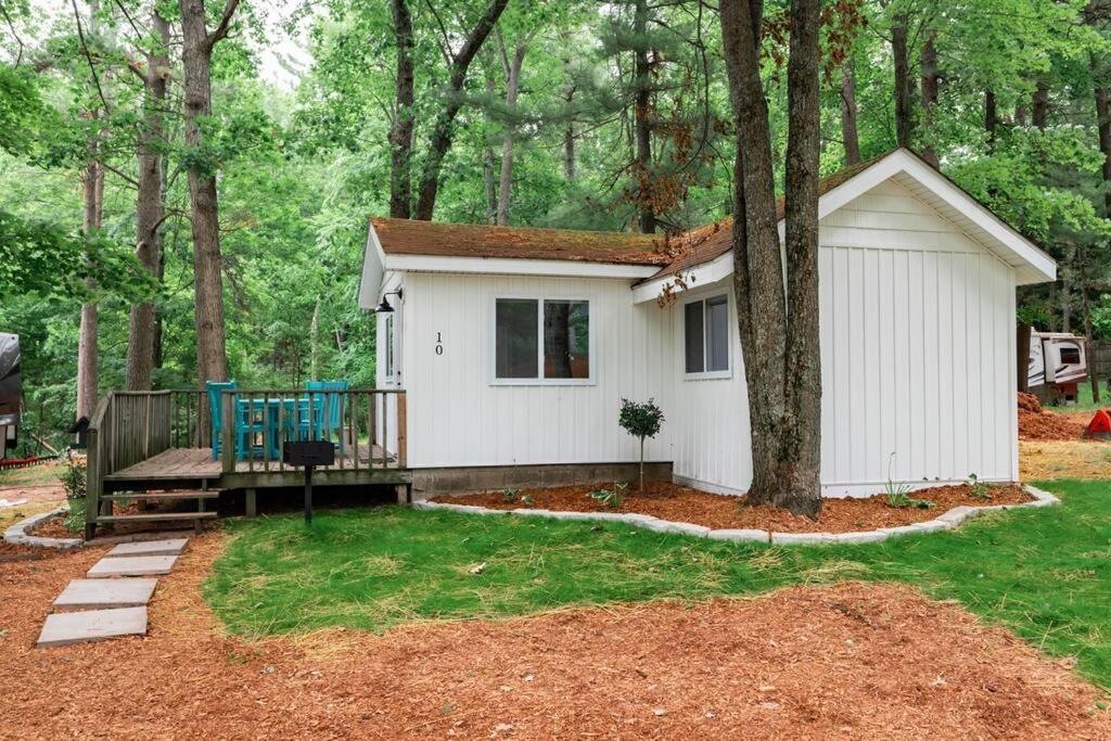 Modern Cabin Retreat l Arbutus Lake l Close to TC! view 4