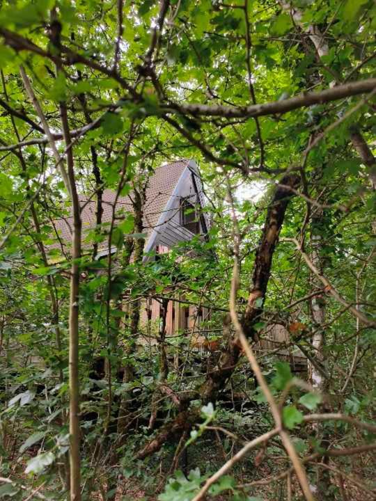 Woodhouse Durbuy nr. 141