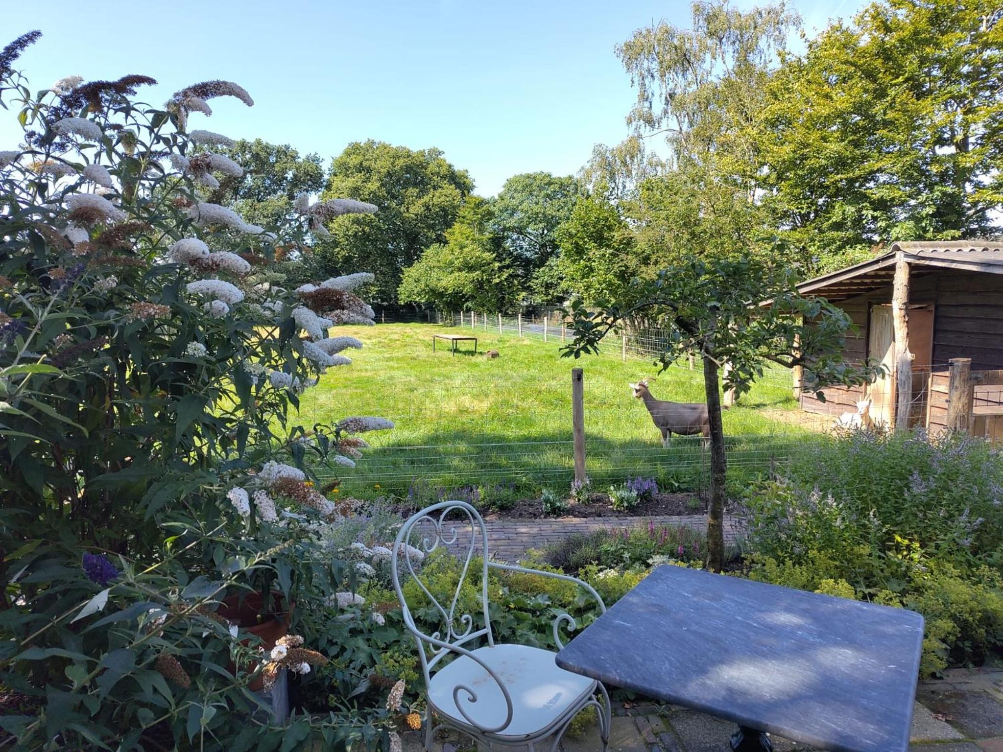 Logeren bij De Soerensesteeg view 3