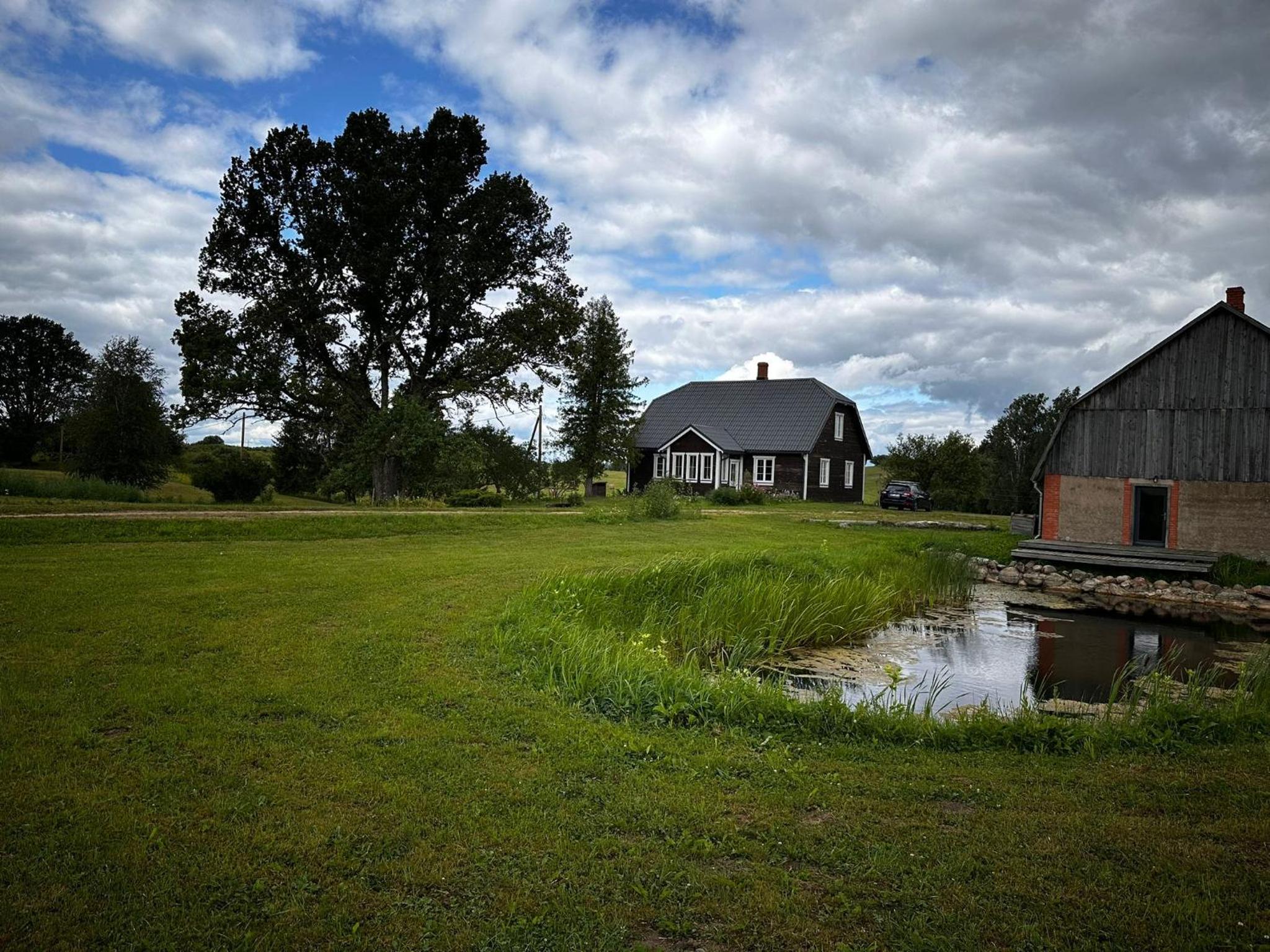 Drusti meadow view 2