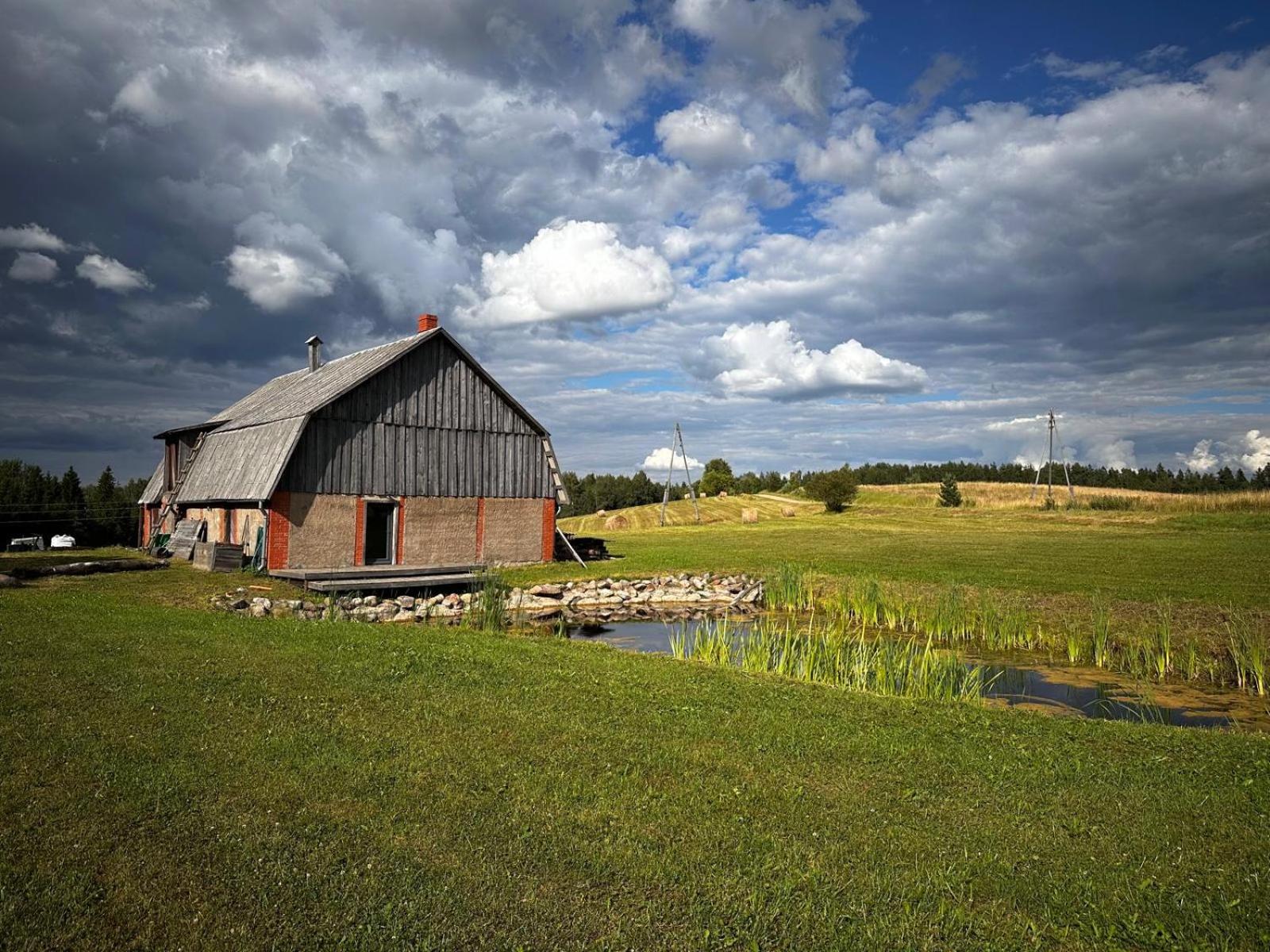 Drusti meadow view 5