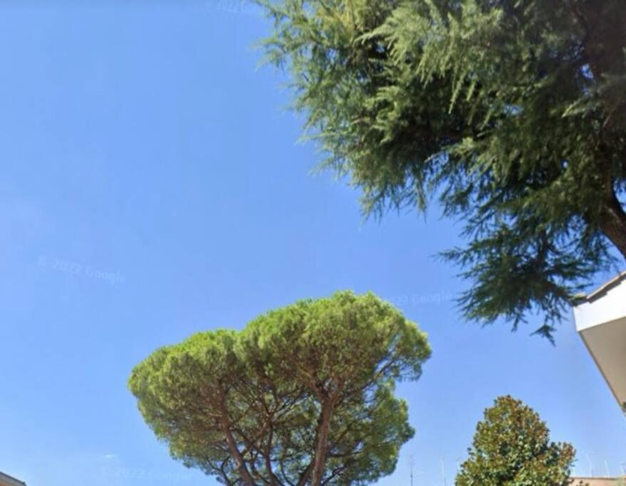 Bellissimo Appartamento- metro Battistini - Vaticano - 120mq