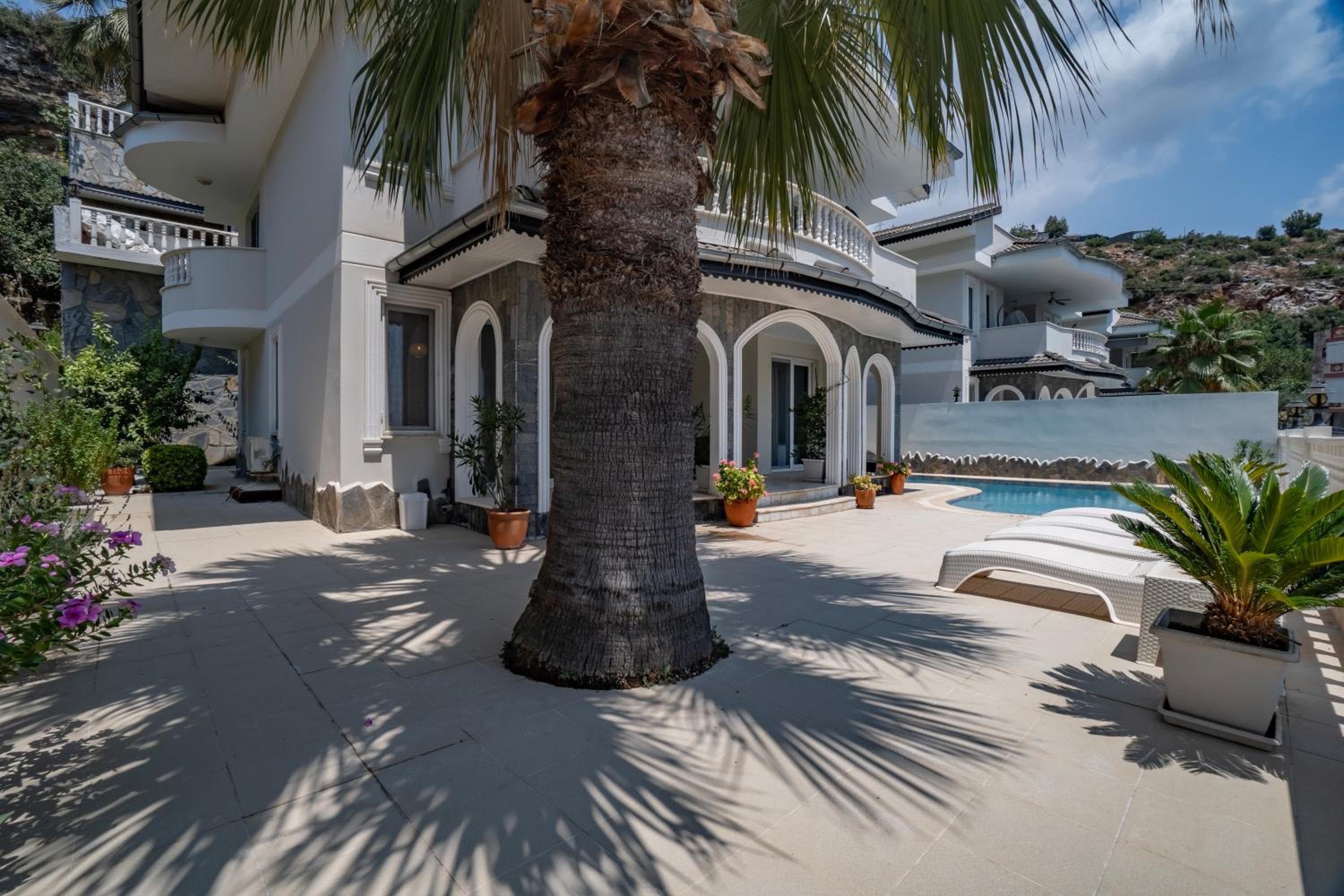 Photo 37