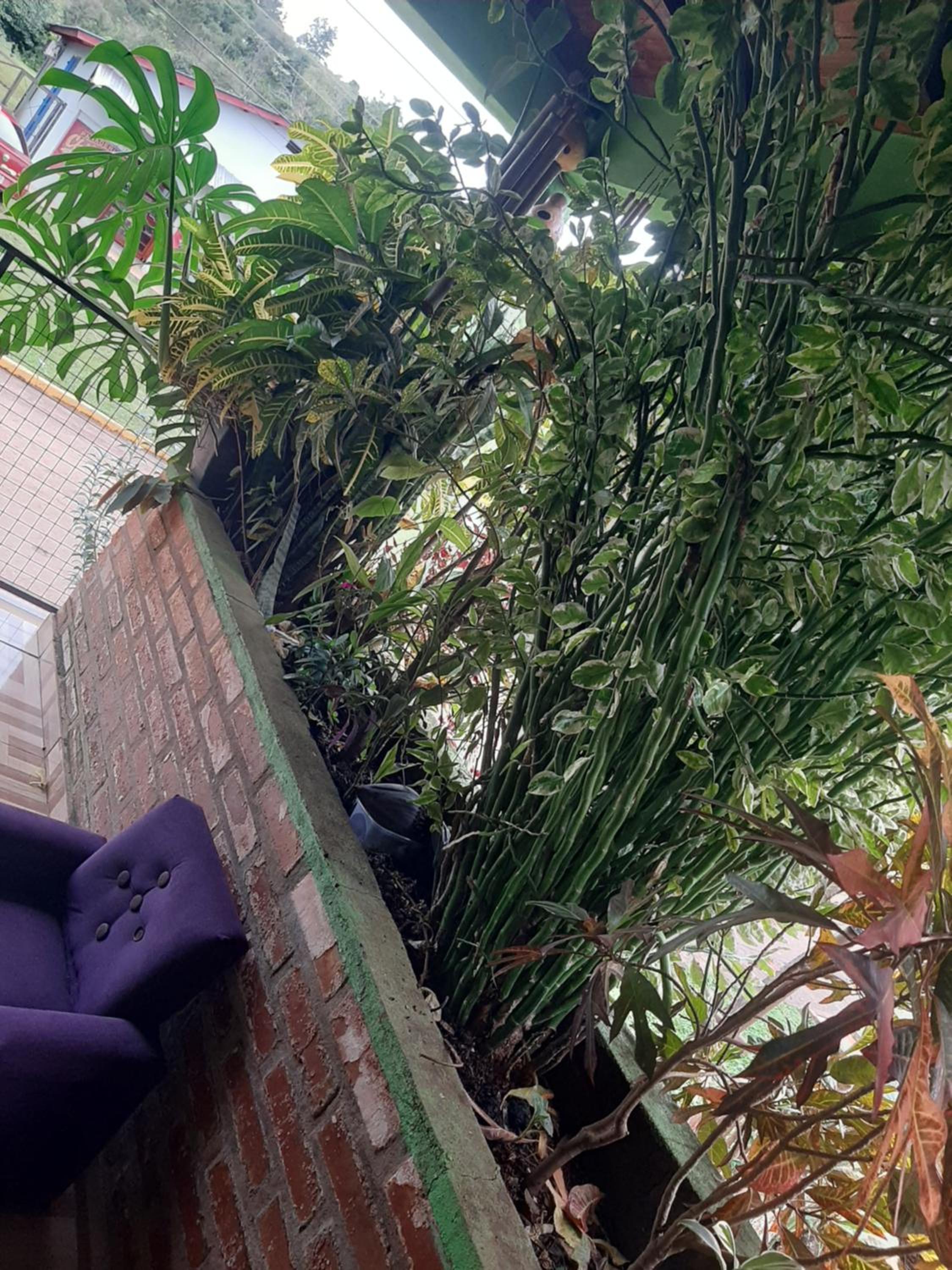 Casa Los Brasileños