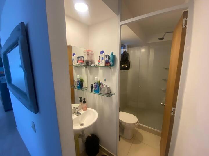apartamento ruiseñor 2