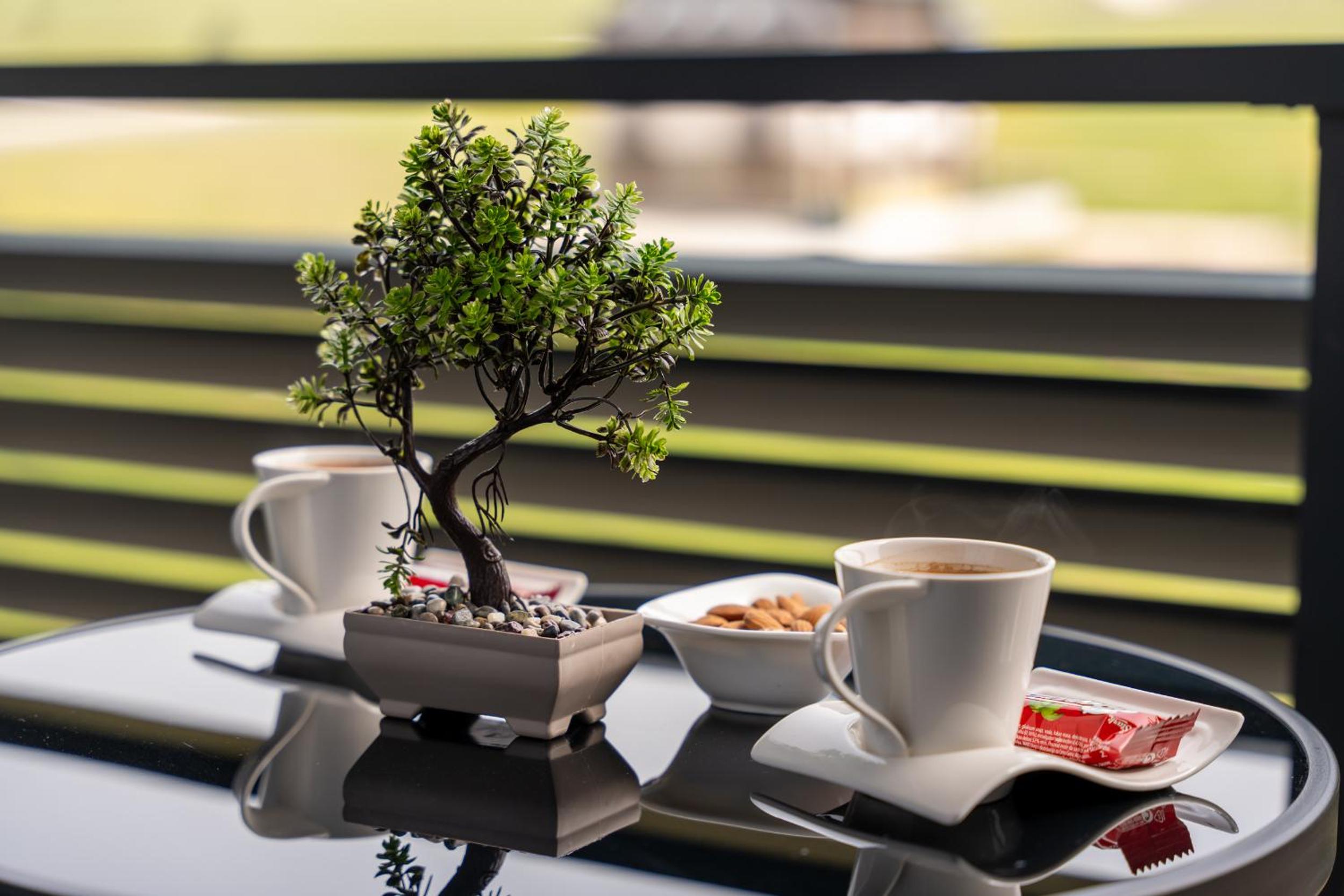 Apartman Dalija