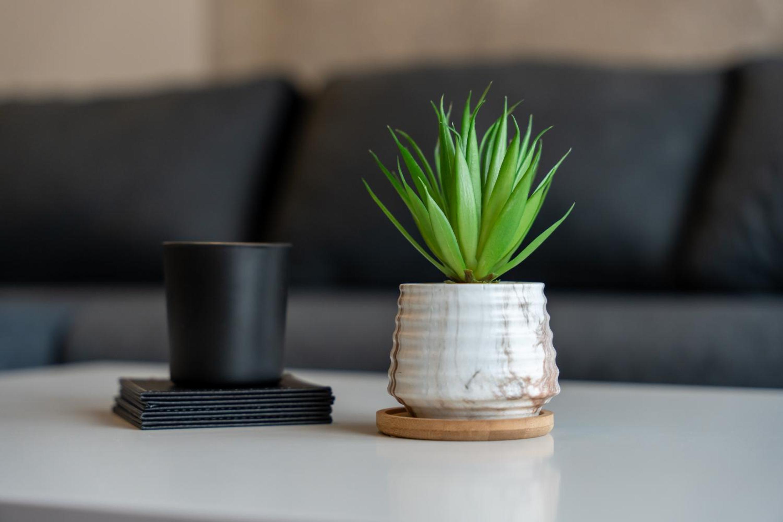 Apartman Dalija